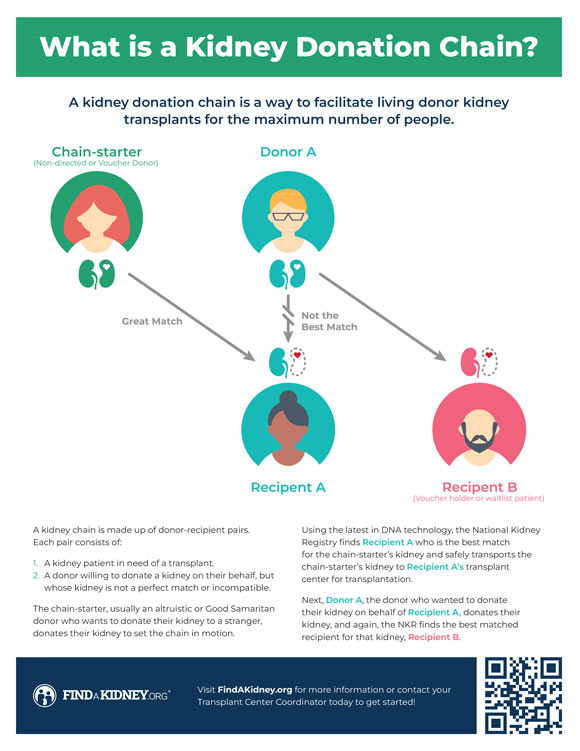 What is a Kidney Donation Chain poster